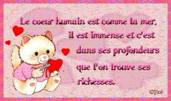 coucou